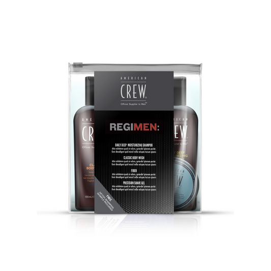 American Crew Regimen Travel Kit